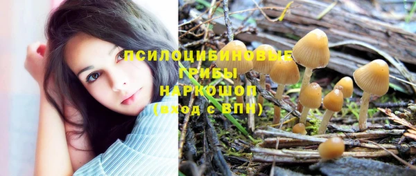 крисы Абдулино