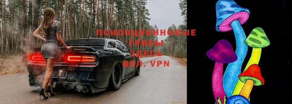 прущая мука Абаза