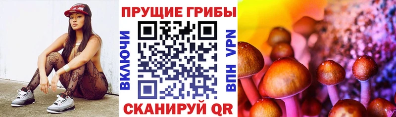 мориарти наркотические препараты  купить   Красноармейск  Псилоцибиновые грибы MAGIC MUSHROOMS 